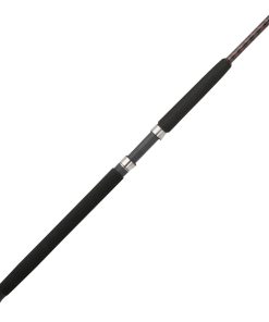 Tiger? Spinning Rod