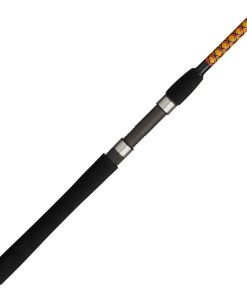 Bigwater 2-Piece Spinning Rod