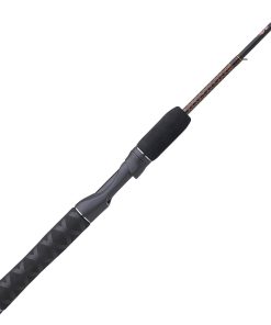 GX2? Spinning Rod