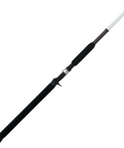 Catfish Casting Rod