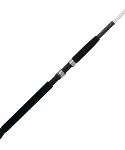 Catfish Spinning Rod